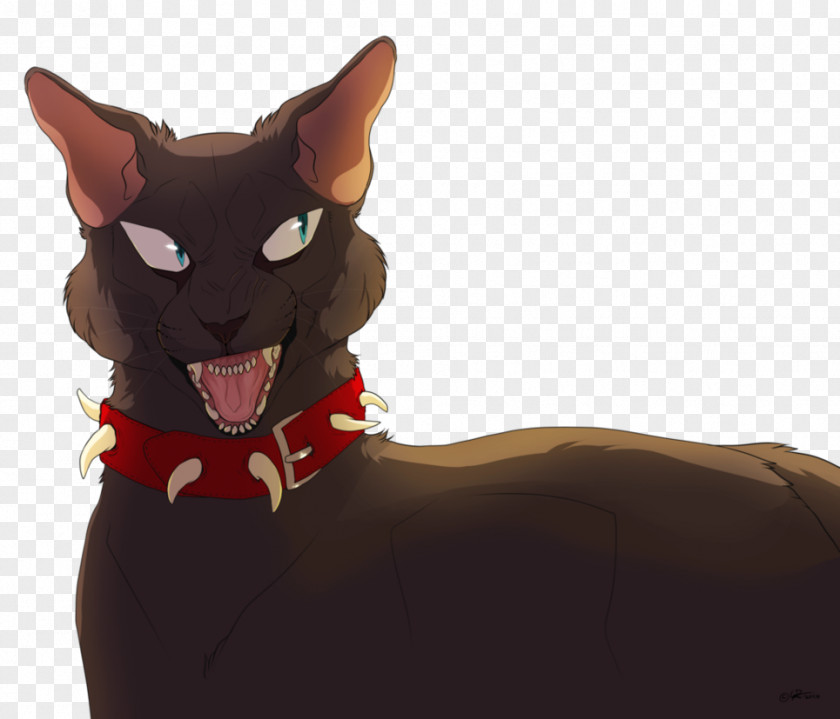 Bad Day Cat Thistleclaw Whiskers Yellowfang Bluestar's Prophecy PNG