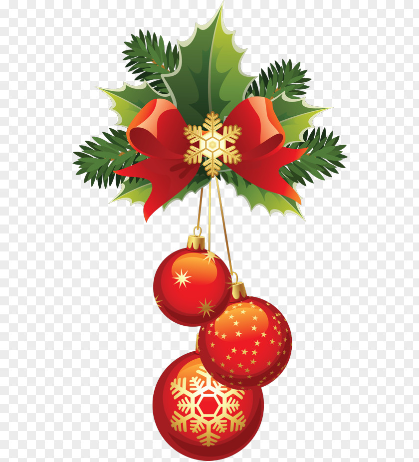 Christmas Ornament Decoration New Year Ded Moroz PNG