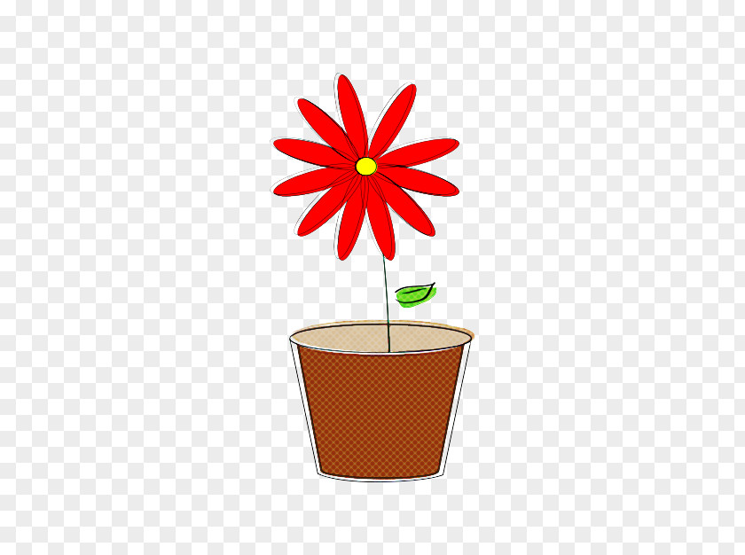 Flowerpot Flower Plant Perennial PNG