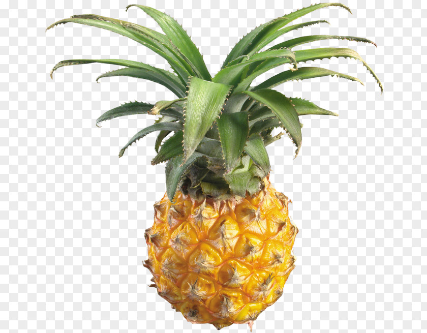 Pineapple Food Slice Clip Art PNG