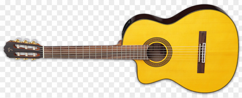 Takamine Guitars Acoustic Guitar Tiple Acoustic-electric Cuatro Cavaquinho PNG