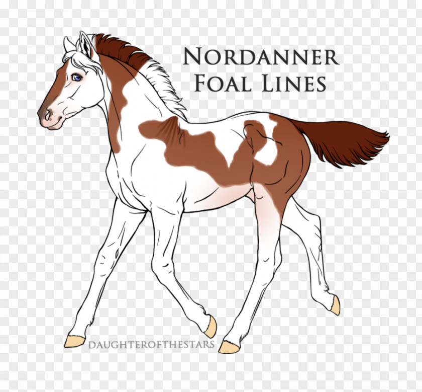 Wake Up Foal Pony Mustang Mare Stallion PNG