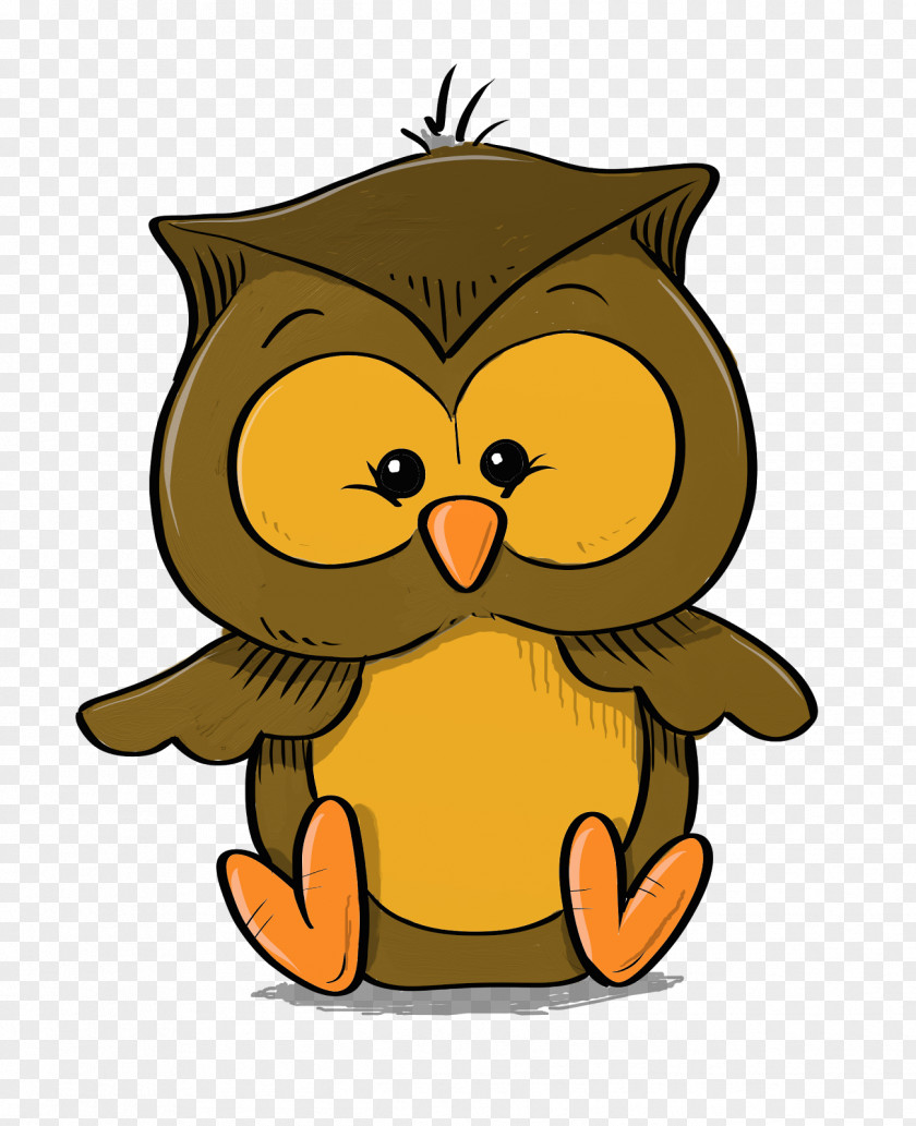 Cartoon Baby Owl Drawing Clip Art PNG