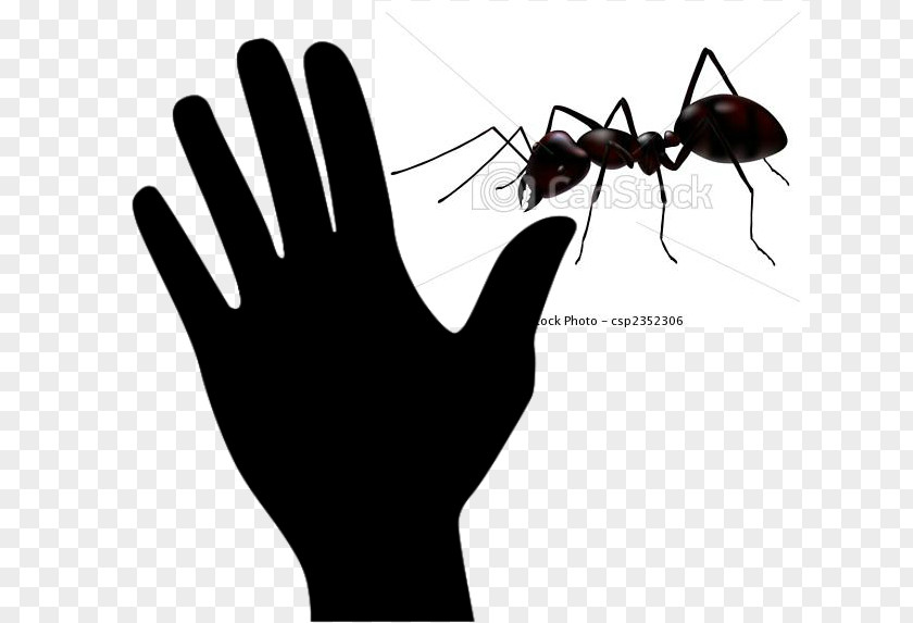 Insect Ant Clip Art PNG