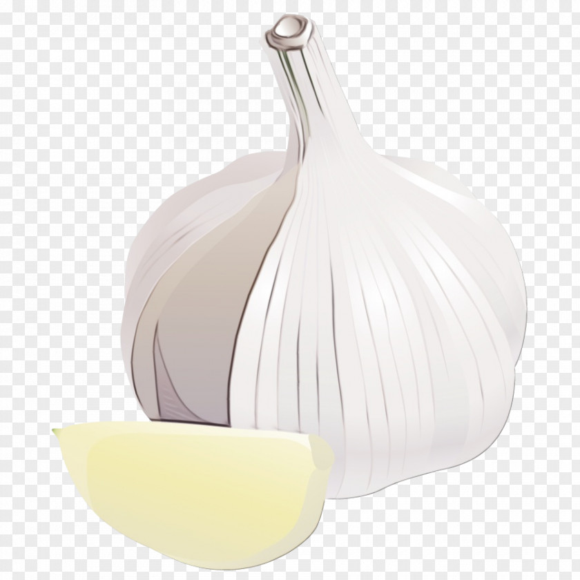 Onion PNG