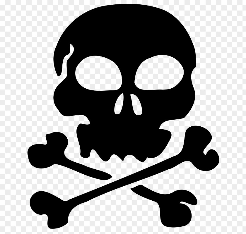 Skull Desktop Wallpaper Clip Art PNG