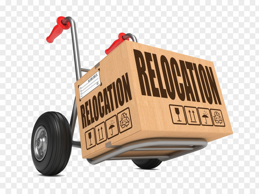 Storage Mover Relocation Businessperson Company PNG