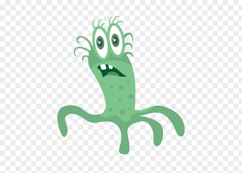 Bacteria Cartoon Microorganism PNG
