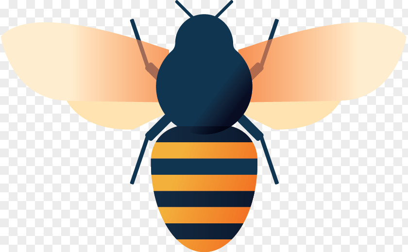 Bee Venom Honey Clip Art PNG