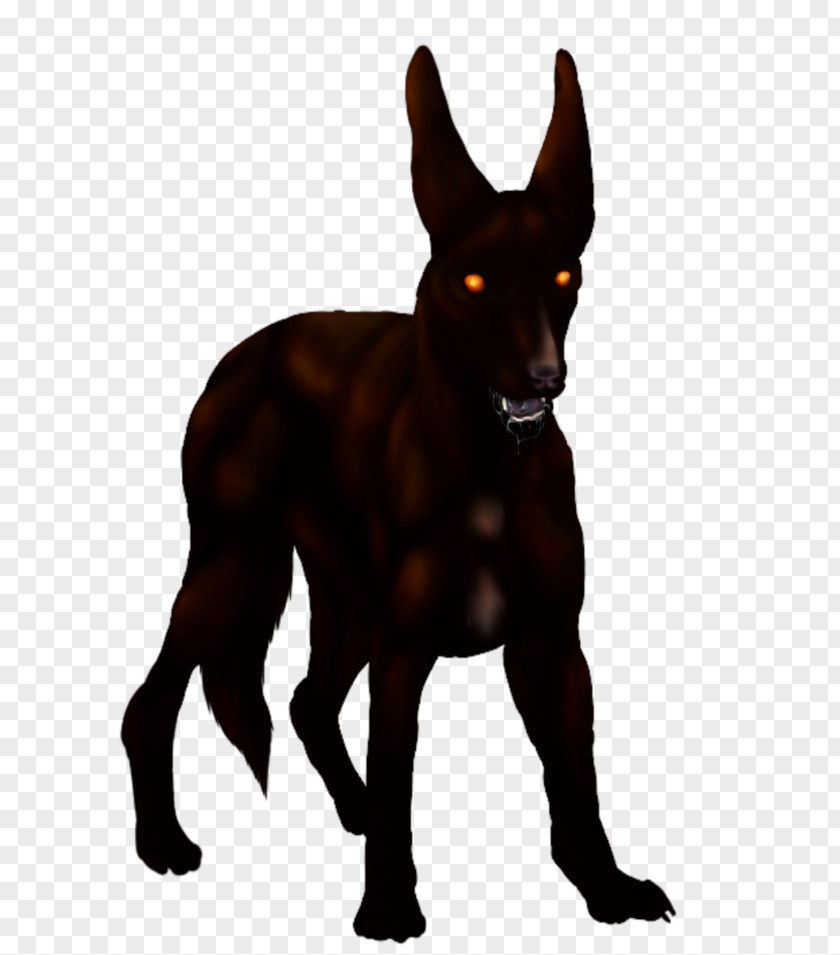Big Bad Wolf Dog Mammal Canidae Carnivora Pet PNG
