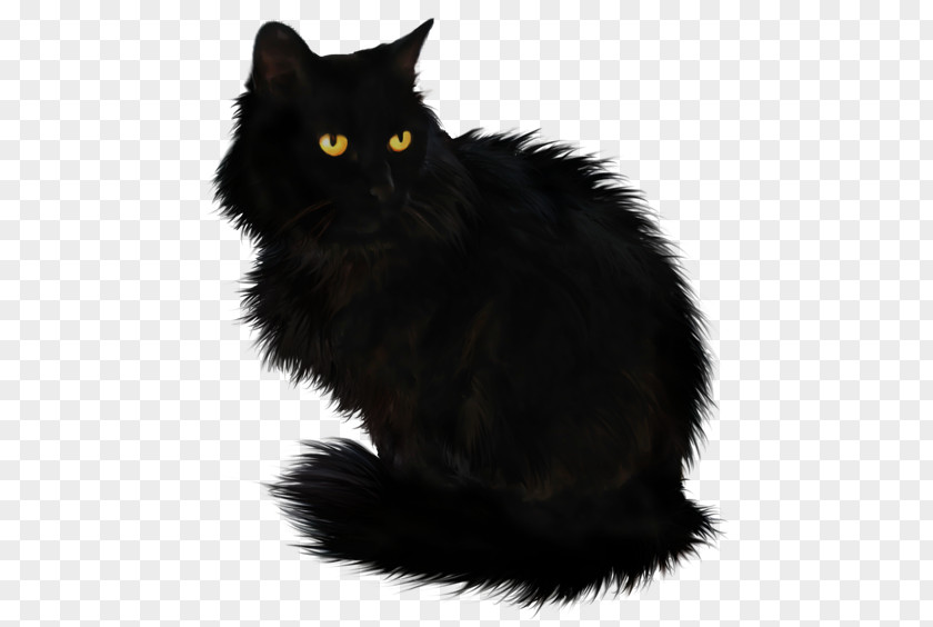 Gif Black Cat Clip Art PNG