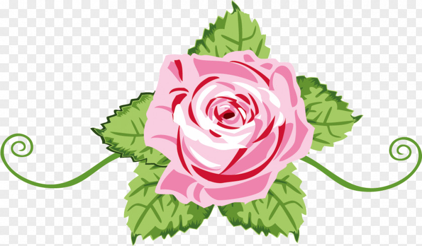 One Flower Rose Valentines Day PNG