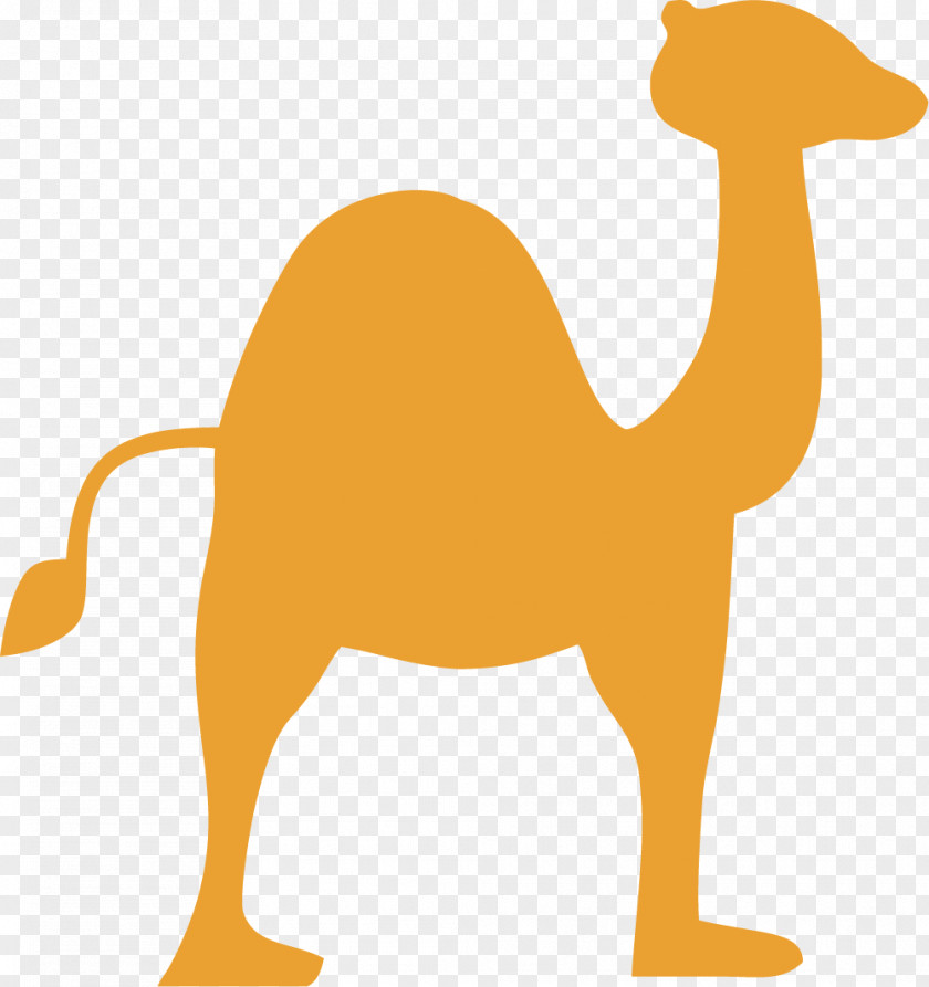 Orange Camel Dromedary Eid Al-Adha Clip Art PNG