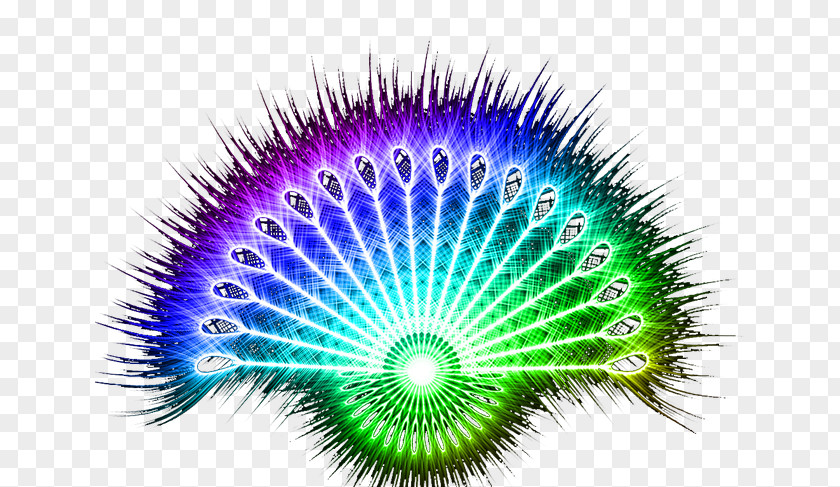 Peacock Fan Feather Peafowl Divinity God PNG