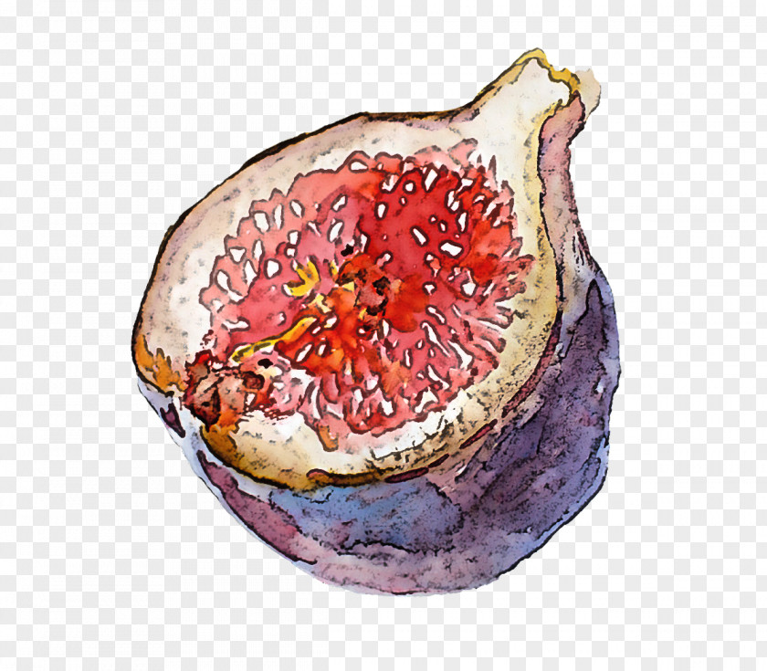 Pomegranate Fruit Food Accessory Common Fig PNG