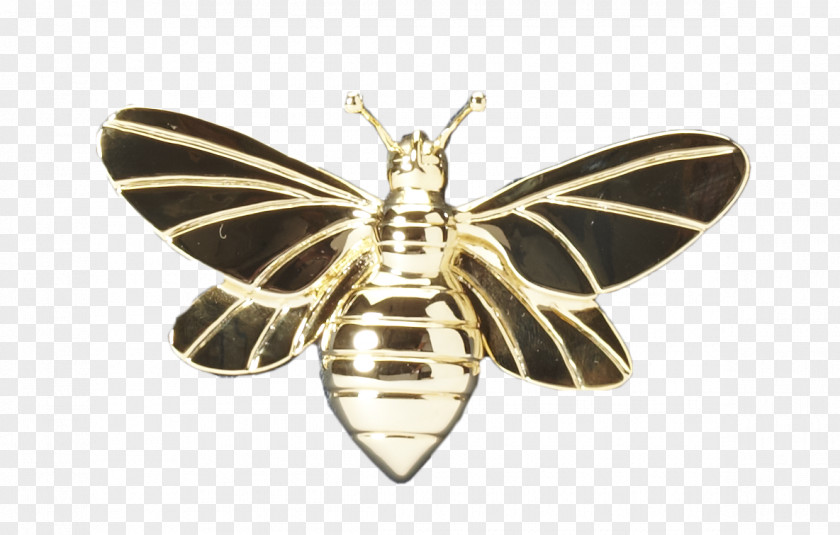 Arrivals Ornament Moth Insect Jewellery Membrane PNG