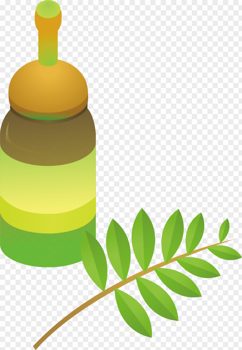Bottle Leaves Clip Art PNG