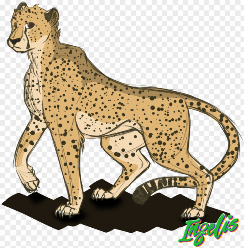 Cheetah Cat Felidae Leopard Lion PNG