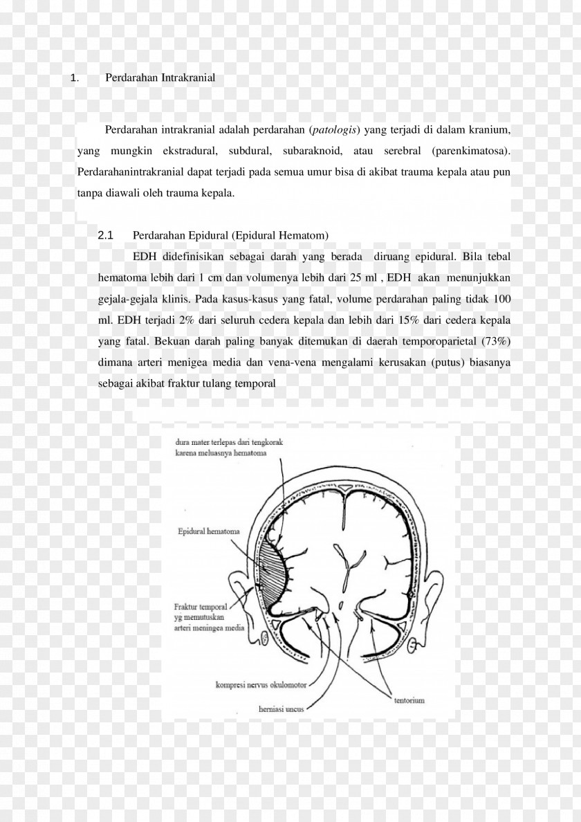 Ear Document Sketch PNG