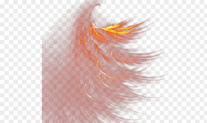 Feathers Feather Clip Art PNG