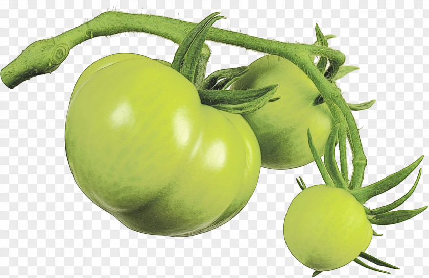 Flower Vegetarian Food Tomato Cartoon PNG