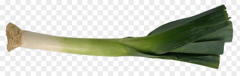 Leek Growing Garden Image Vegetable PNG