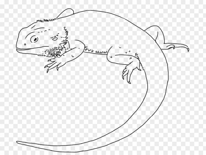 Lizard Drawing Central Bearded Dragon Line Art Clip PNG