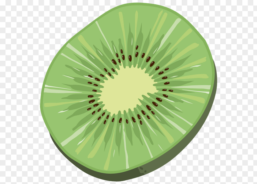 Kiwifruit Drawing Dried Fruit PNG