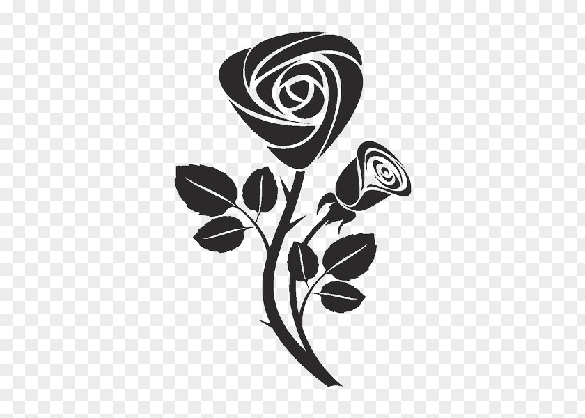 Rose Drawing Photography PNG