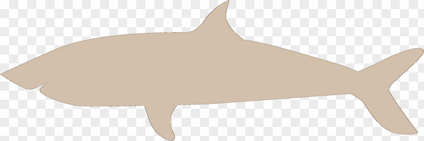 Shark PNG