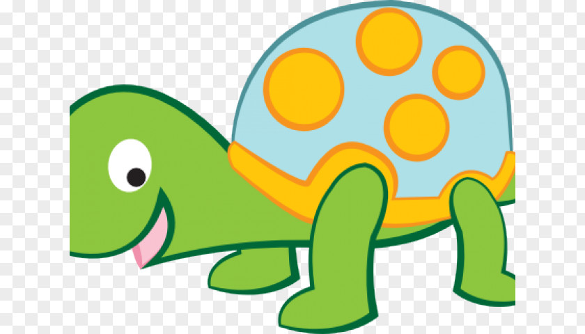 Animal Figure Tortoise Turtle Drawing PNG