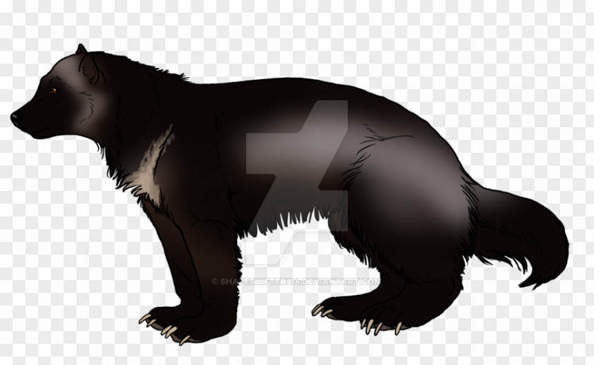 Bear Mustelids Fur Terrestrial Animal Wildlife PNG