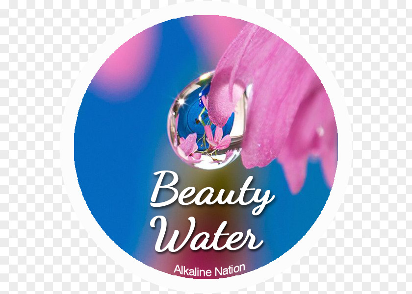 Beautiful Drops Of Water Life Happiness Greeting PNG