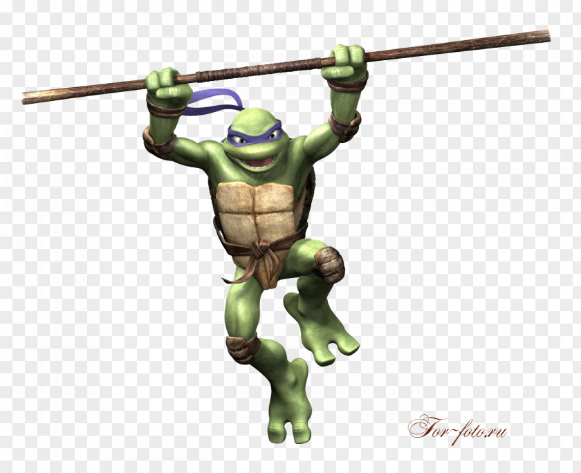 Painting Donatello Raphael Michelangelo Leonardo Teenage Mutant Ninja Turtles PNG