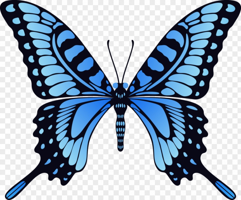 Blue Butterfly Image Monarch Animation Stock Footage PNG