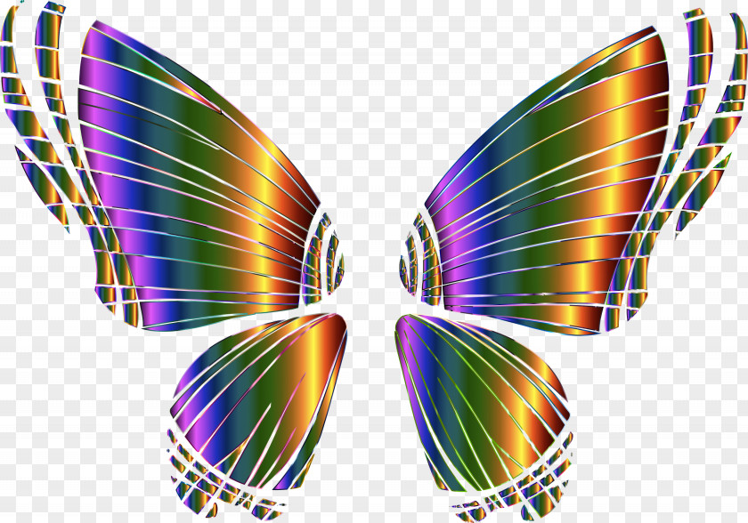 Butterfly Silhouette Drawing Desktop Wallpaper Clip Art PNG