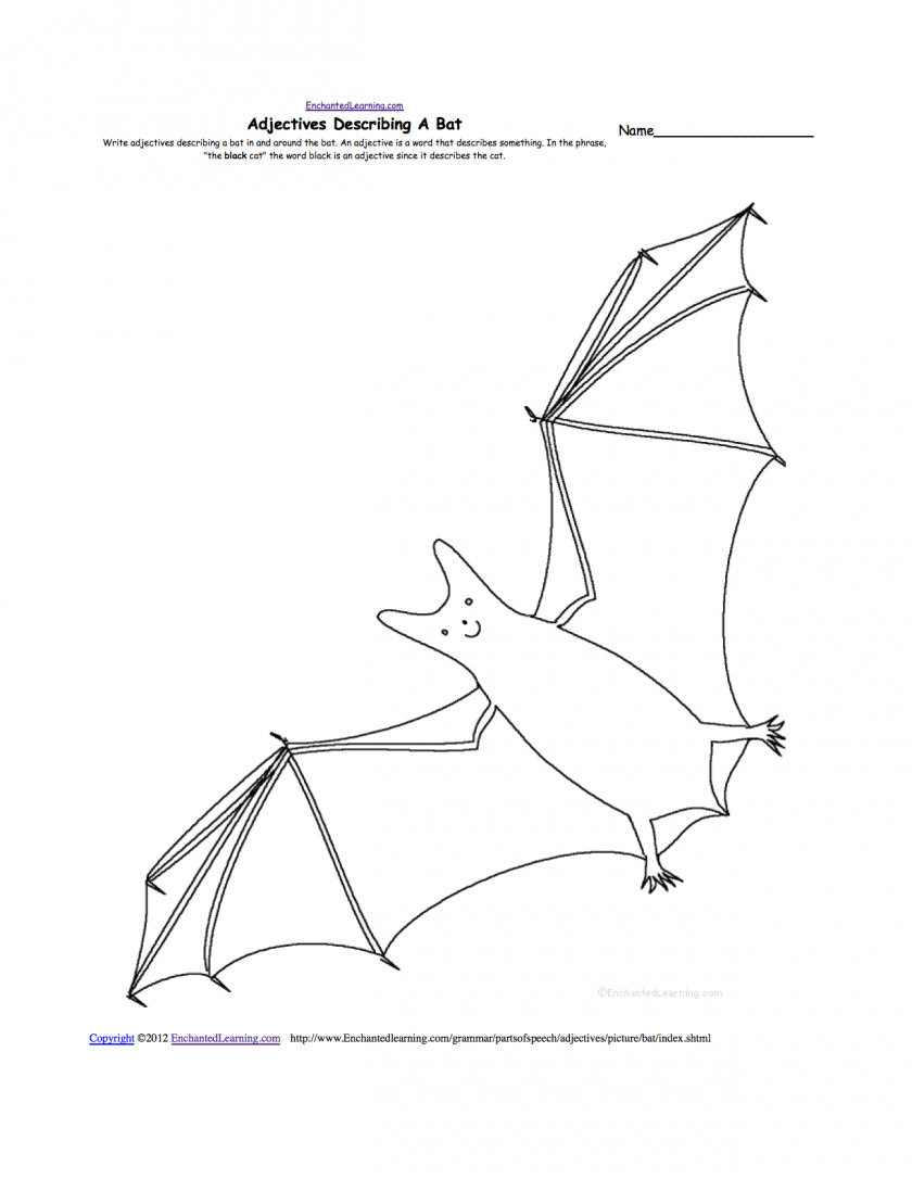 Drawings Of Fruit Bats Megabat Drawing Worksheet Anatomy PNG