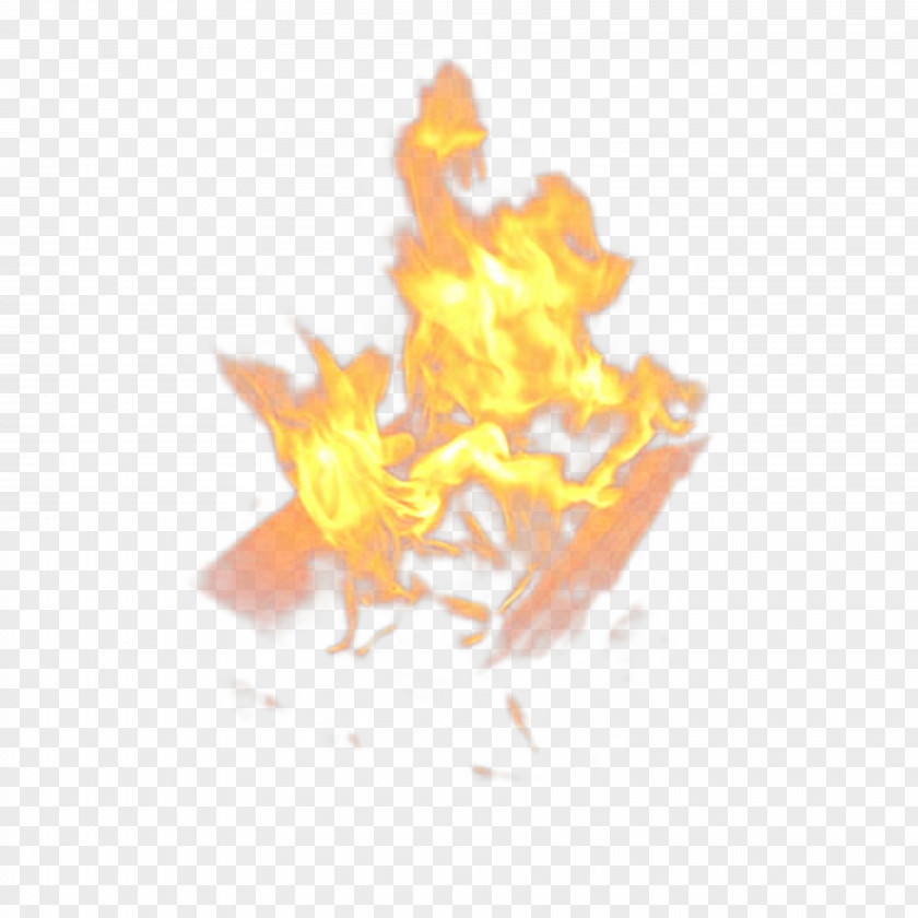 Flame Fire Drawing Illustration Jimmy Five PNG