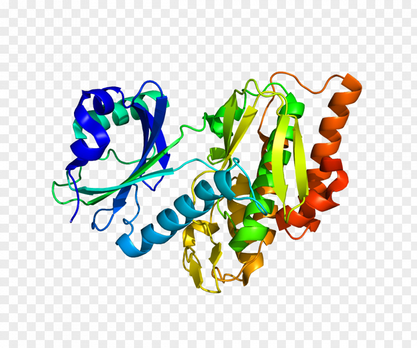 Histone H1 Code Nucleosome Wikipedia PNG