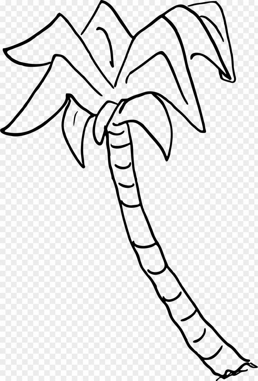 Palm Tree Arecaceae Sabal Clip Art PNG
