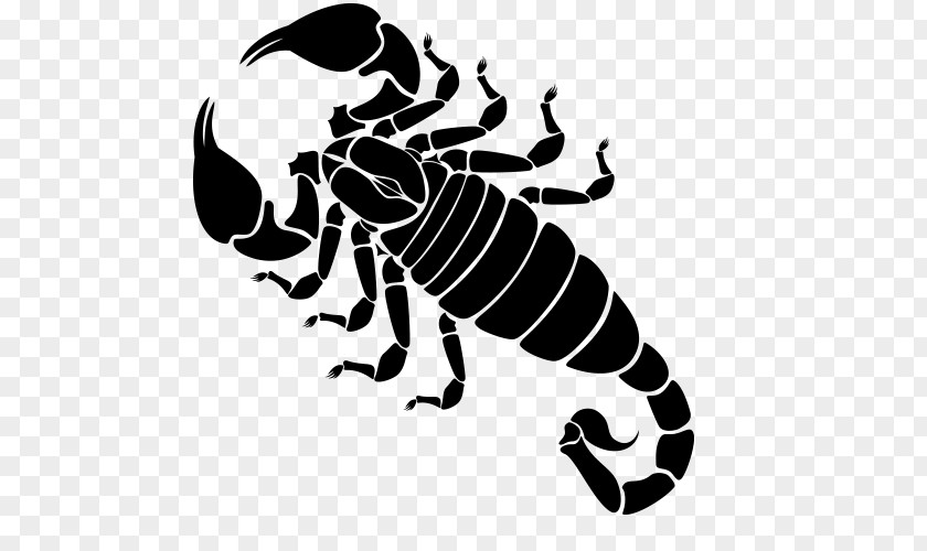 Scorpio Zodiac Scorpion Henna Mehndi Tattoo Constellation PNG