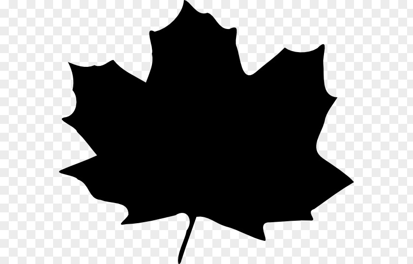 Clip Art Maple Leaf Free Content Graphics PNG