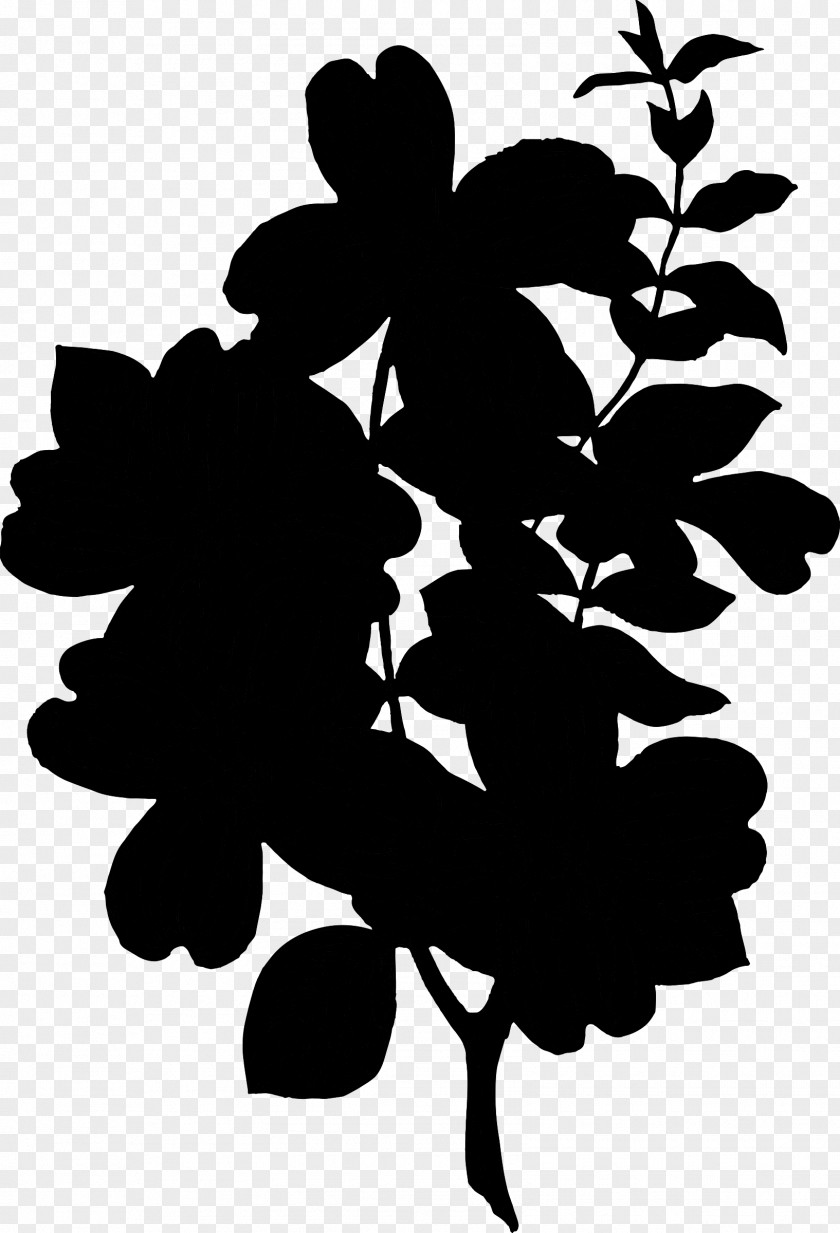 Flowering Plant Silhouette Font Leaf PNG