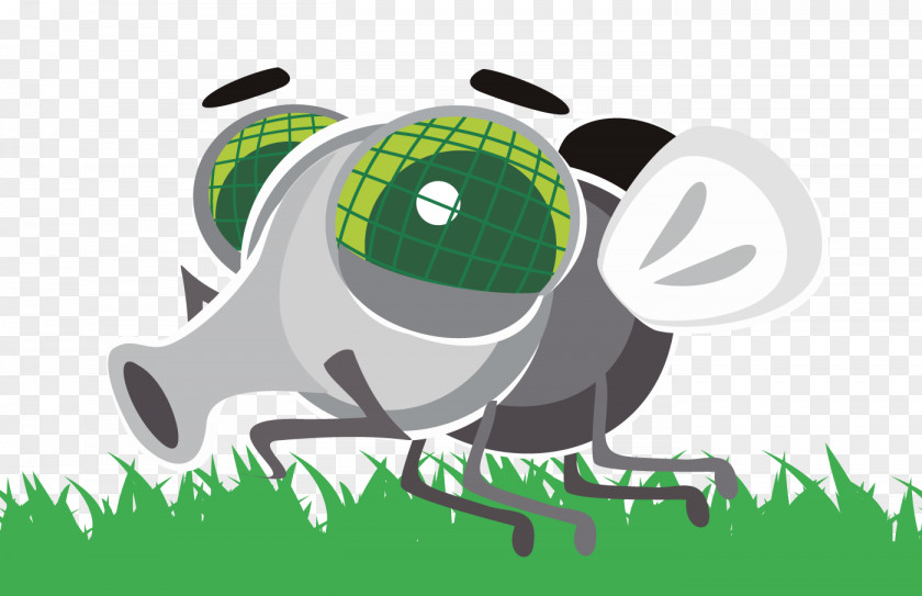 Fly Cartoon Images Privacy Policy Illustration IL VERDE DI LUCA PNG