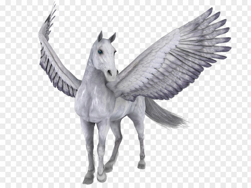 Pegasus Angels Horse PNG