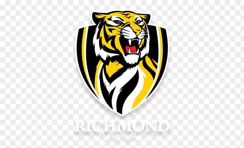 Punt Road Oval Richmond Football Club Melbourne Cricket Ground 2017 AFL Season Brisbane Lions PNG