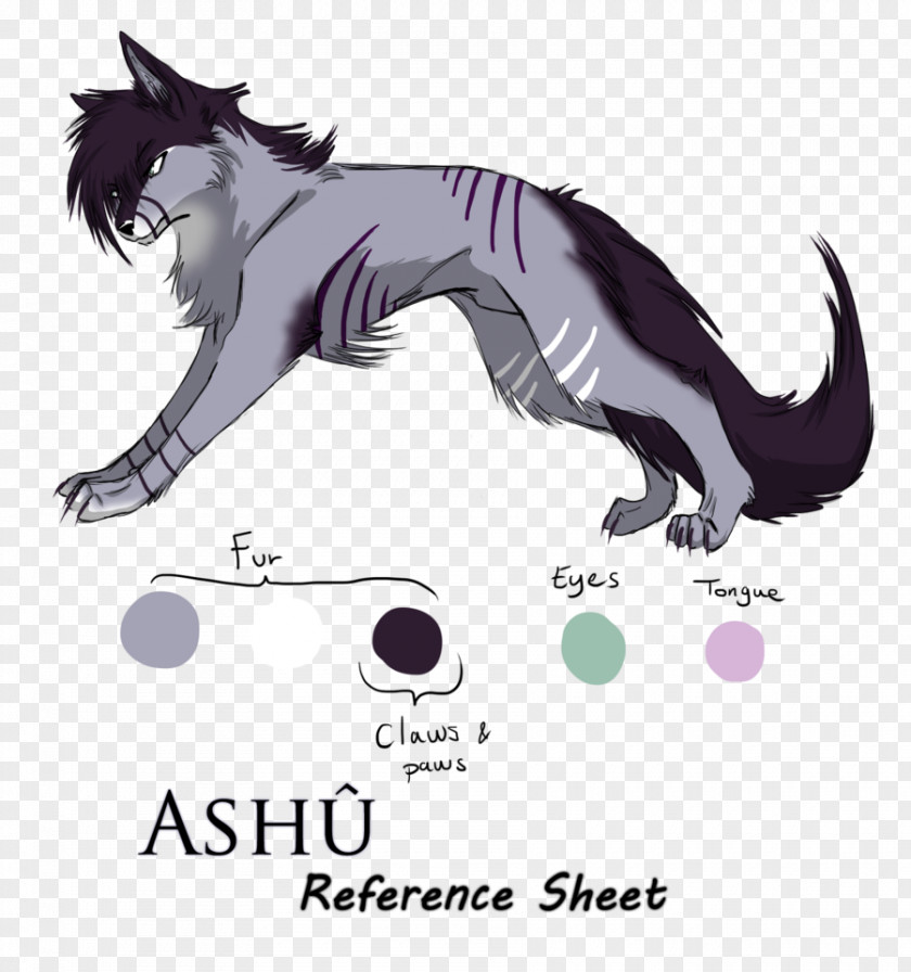 Reference Box Whiskers Cat Canidae Horse Dog PNG