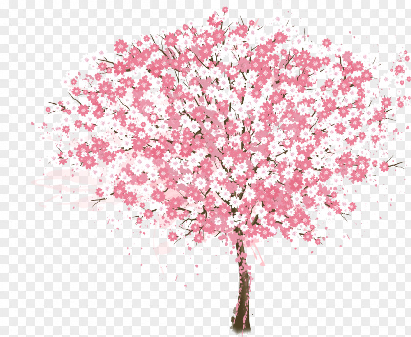 Vector Painted Pink Cherry Tree Blossom PNG