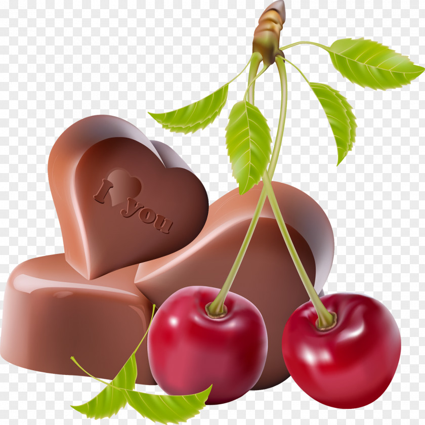 Cherry Chocolate Ice Cream Hot PNG