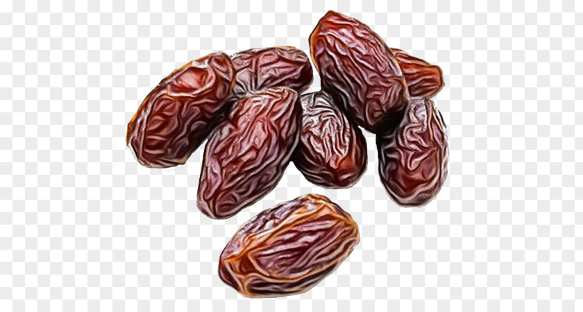 Date Palm Dates Fruit Dried Nut PNG